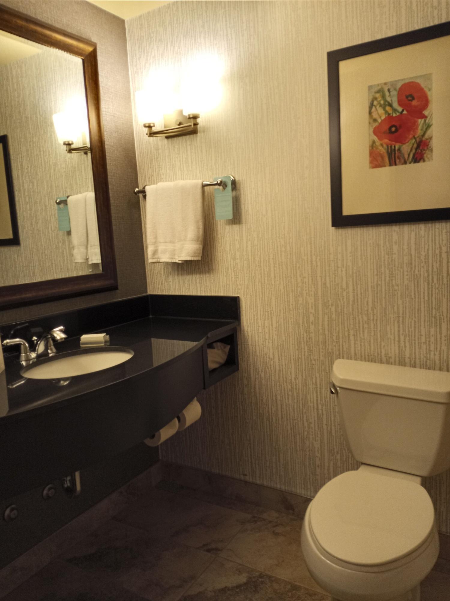 Hilton Garden Inn Calgary Airport Zewnętrze zdjęcie